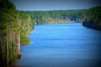 Fishing River