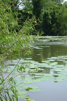 Think about fishing in your Sevylor Fish Hunter Inflatable 6 Person Boat Lily Pads